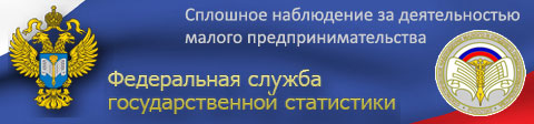 Федеральная служба государственной статистики