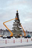 Зеленую красавицу выбирали несколько дней