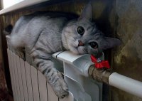 На солнце загорай, а про зиму не забывай На солнце загорай, а про зиму не забывай