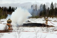 Пусть "пожары" будут только учебные