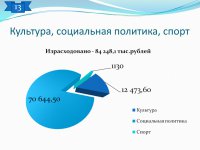 Отчет об исполнении бюджета (2014 год)