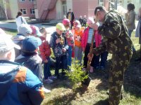 Стражи наших лесов