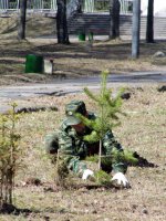 Стражи наших лесов