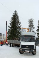 В лесу родилась ёлочка, В городе она росла…