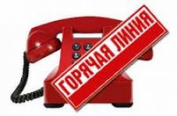 «Горячая» телефонная линия по вопросам предоставления государственных услуг в электронном виде.