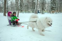 Самый ценный вклад – это вклад в воспитание детей