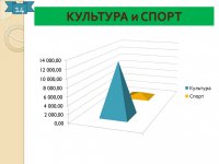 Отчет об исполнении бюджета (2015 год)