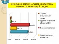 Отчет об исполнении бюджета (2015 год)