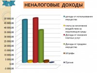 Отчет об исполнении бюджета (2015 год)