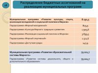 Отчет об исполнении бюджета (2015 год)