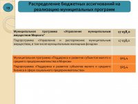 Отчет об исполнении бюджета (2015 год)