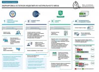 О порядке реализации пилотного проекта 