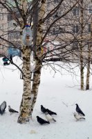 Тематическая прогулка по аллее промышленности 