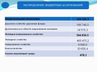 Отчет об исполнении бюджета (2017 год)