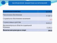 Отчет об исполнении бюджета (2017 год)