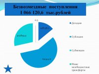 Отчет об исполнении бюджета (2017 год)