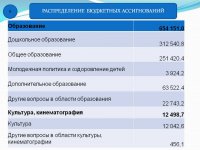 Отчет об исполнении бюджета (2017 год)