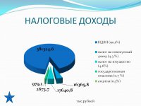 Отчет об исполнении бюджета (2017 год)