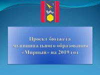 Бюджет для граждан (Проект. 2019 год.)