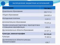 Бюджет для граждан (Проект. 2019 год.)