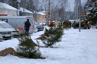 Расти, ёлочка, в нашем городе!