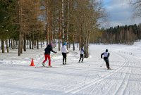 На лыжне – школьники
