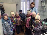 Из зернышек и семечек растим мы доброту