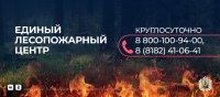 Диспетчерская служба Единого лесопожарного центра работает круглосуточно